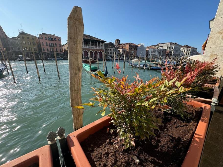 Appartamento Grand Canal Diamond Venezia
