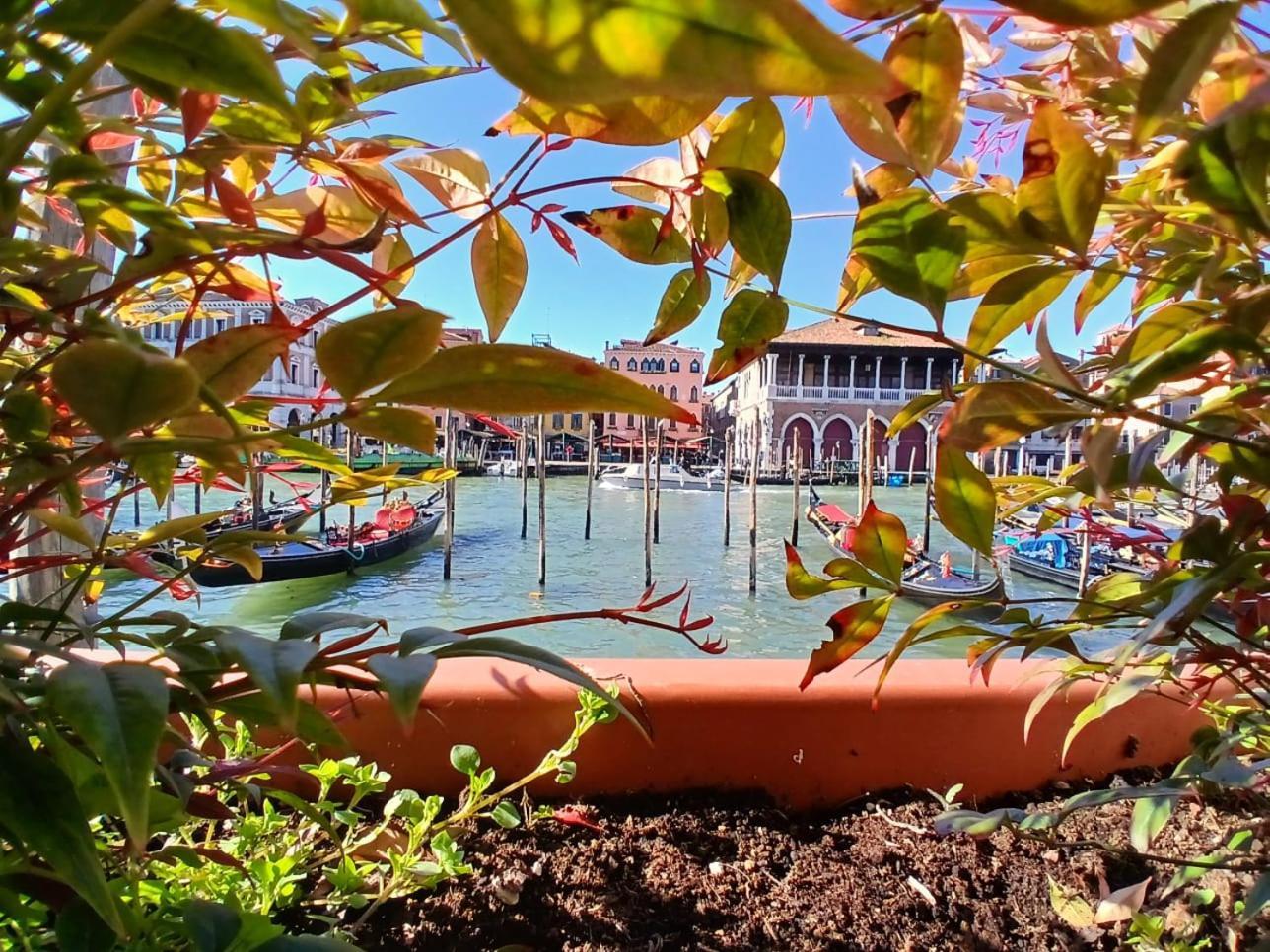Grand Canal Diamond Appartamento *